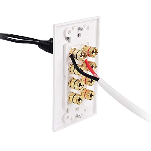 Cable Matters Speaker Wire Wall Plate (Speaker Wall Plate, Banana Plug