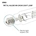 iPower 4-Pack 1000 Watt Vegetative Metal Halide MH Conversion Grow Light Lamp Bulb 6000K