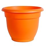 Bloem Ariana Self Watering Planter, 6