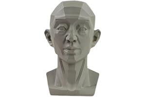 CTDWNT Planar Head Model for Artists,Head Model for Artists,2in1 Original & Planar Face,Learn The Planes of The Head,Human Manikin Head for Medical and Artistic Drawing Sketching Painting