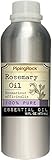 Piping Rock Rosemary 100% Pure Essential Oil 16 fl oz (473 mL) Canister Therapeutic Grade