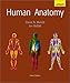 Human Anatomy Update (3rd Edition) by 