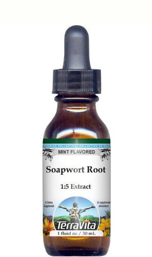 Soapwort Root Glycerite Liquid Extract (1:5) - Mint