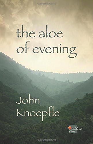 The Aloe of Evening