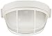 Trans Globe Lighting 41505 WH Outdoor Aria 7