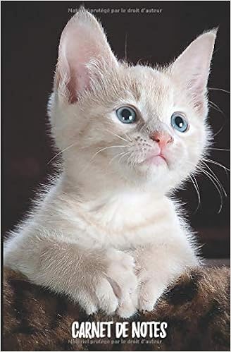 Carnet De Notes Special Chatons Mignons Et Adorables Cahier Bloc Notes 13 3 X 3 Cm 100 Pages Lignees Cadeau Pour Les Amateurs Des Chats Des Ami Enseignant Bebe Miaou French Edition