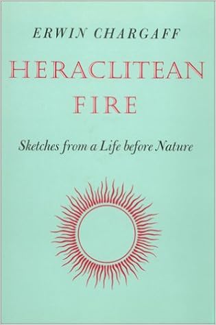 Heraclitean Fire