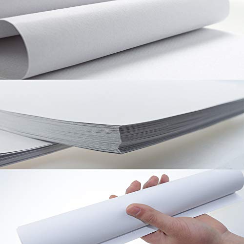100Sheets Newbested White Watercolor Paper Cold Press Cut Bulk Pack for Beginning Artists or Students. (10 x 7 Inch) (12 x 8 INCH)