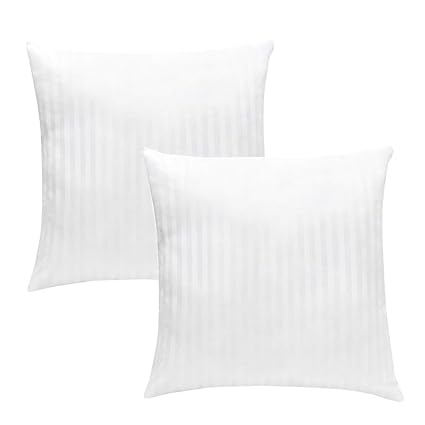 Decorative Pillow Insert Pair 18 Inch Square Interior Sofa Pillow
