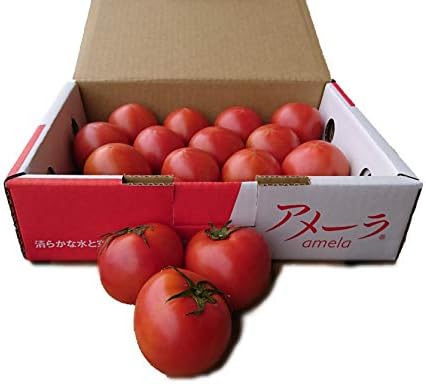 高糖度フルーツトマト アメーラ 秀品 約1kg 1箱 15 16玉入り