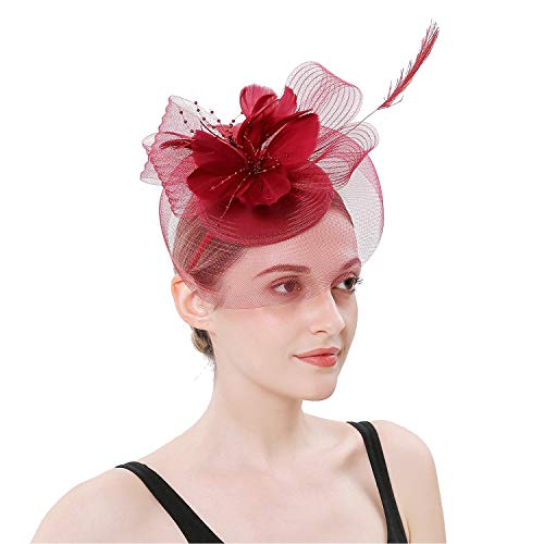 S&W Manufacturing Women Girls Fascinators Hat Cocktail Wedding Feather Clips Derby Hairpins