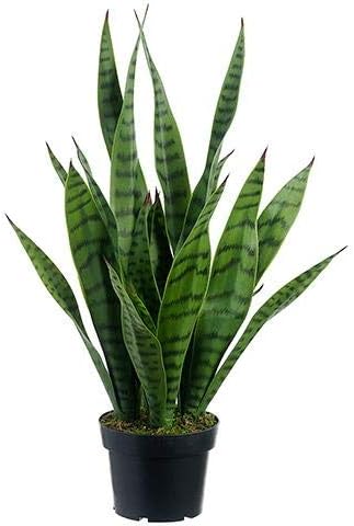 Amazon.com: Floral Home Fake Plants Mother in Law Tongue Snake ...