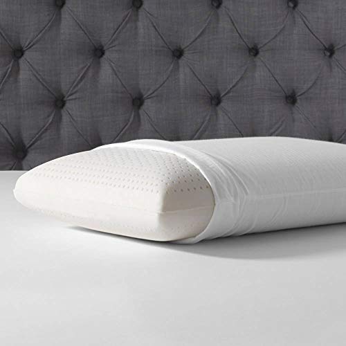 Beautyrest Latex Foam Pillow (Standard 2 Pack) Pricepulse