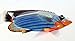 Hand Painted Tropical Fish Blue Wave 8