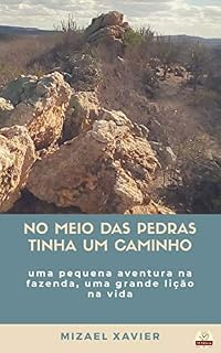 Livro NO MEIO DAS PEDRAS TINHA UM CAMINHO: Uma pequena aventura na fazenda, uma grande lição de vida