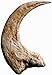 Geoworld Dino Claws Collection Toy (6 Piece)