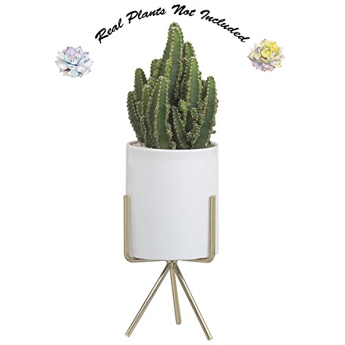 Desktop Planter Pot with Stand, 6.5" H Modern Minimalist Indoor Triangle Metal Holder with White Round Ceramic Flower Pot for Succulents Air Plants Small Cactus Herb Fern Bonsai by Ebristar - Big