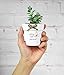My Urban Crafts 20 Pcs White Terracotta Clay Pots 2.5 Inch Small Succulent Pots Ceramic Mini Plant Pots White Terra Cotta Flower Pots for Cacti Succulents, Crafts, Wedding Favors (Matte White Bisque)