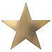 Amscan Gold Star Cutouts | 3.50"| Pack of 12 | Party Decor - 19976.19 primary