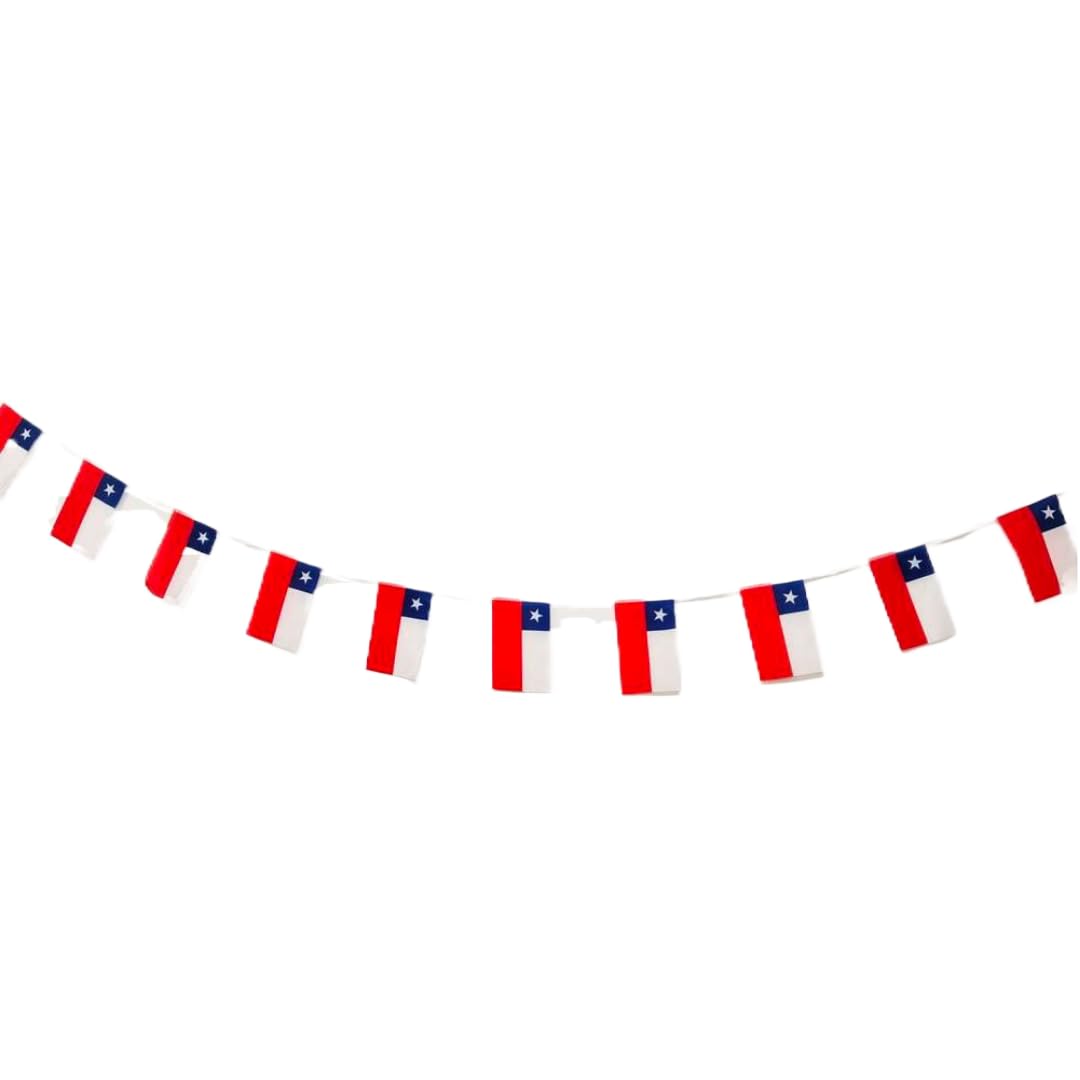 Pandiui23 Chile Flag 40 Pieces Garland 11.4 m Chile Bunting, National Flag 14 x 21 cm for Garden Bar Decorations (Chile)