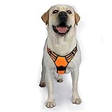 Rabbitgoo Dog Harness No-Pull Pet Harness Adjustable Outdoor Pet Vest 3M Reflective Oxford Material Vest for Dogs Easy Control for Small Medium Large Dogs (Orange, XL)