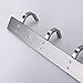 HOMEIDEAS Coat Hook Rack Wall Mounted 17-Inch Brushed Nickel SUS304 Stainless Steel Bath Towel Hook Coat Rail 6 Hooks