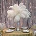 Sowder 12-14inch(30-35cm) Ostrich Feathers Plume for Wedding Centerpieces Home Decoration Pack of 10pcs(White)