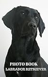 Image de Photo Book : Labrador Retriever