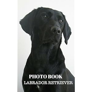 Photo Book : Labrador Retriever