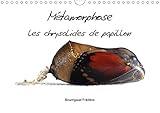 Métamorphose les chrysalides de papillon (Calendrier mural 2020 DIN A4 horizontal): Macrophotographie de chrysalides (Calendrier mensuel, 14 Pages ) (CALVENDO Nature) (French Edition) by