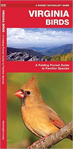 Virginia Birds A Folding Pocket Guide To Familiar Species Wildlife And Nature Identification Kavanagh James Waterford Press Leung Raymond 9781583550991 Amazon Com Books