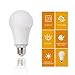 17W (150 Watt Equivalent) 4 Pack A21 LED Light Bulb, 2000 Lumens 3000K Soft/Warm White, E26 Medium Screw Base, UL Listed, XMprimo
