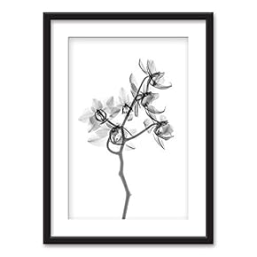 Framed Flowers Art in Black Picture Frames White Matting