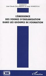 L' émergence des formes d'organisation dans les groupes de formation