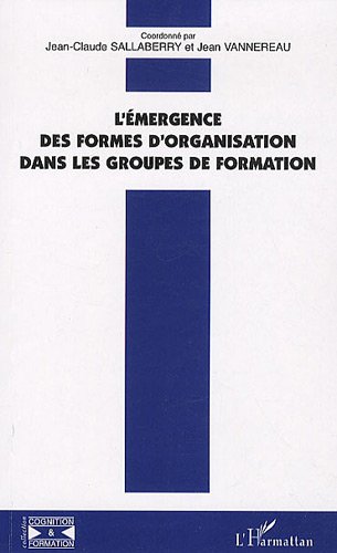 L' émergence des formes d'organisation dans les groupes de formation