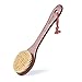 Tradition Craft Dry Skin Body Brush with Long handle 15inch for Bath, Shower-Natural Plant Bristle, Beech Wood-Remove Dead Skin, Body Scrubber
