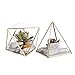 Glass Geometric Terrarium Container 4.5X5.2 inch and 4.3X3.7 inch Glass Terrarium for Succulent & Air Plant (Gold, 2pcs)