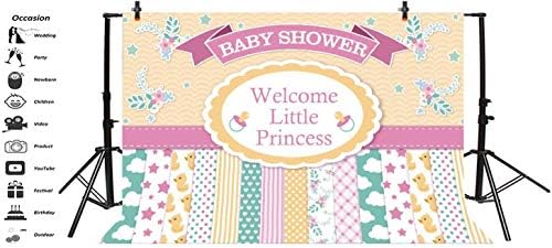 Amazon Com 10x8ft Vinyl Baby Shower Party Booth Photo Backdrop