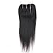 Lanyi Hair Virgin Brazilian Hair Straight Three Part 130% Density Lace Closure 10