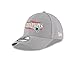 NFL New England Patriots Men's 2016 AFC Conference Champs 9FORTY Adjustable Cap, One Size, Gray