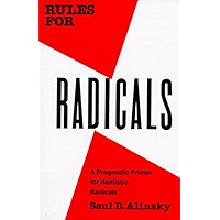 Rules for Radicals: A Pragmatic Primer for Realistic Radicals