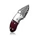 KUBEY KU66 Small Knife, Folding Knife and Pocket EDC, Drop Point Blade with Thumb Open, Rosewood Handle with Lanyard, for Outdoor Hunting Camping and Hiking (KU66-1)