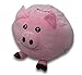 Jumbo Stuffed Animal Storage Bean Bag - 