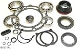 Chevy GM NP261XHD NP263XHD Transfer Case Bearing Kit BK371A