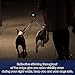 Dual Dog Leash 360° No Tangle Double Handle Leash Dog Walking Training Leash Reflective Adjustable Dog Leash for 2 dogs up to 180 lbs, with waste bag dispenser