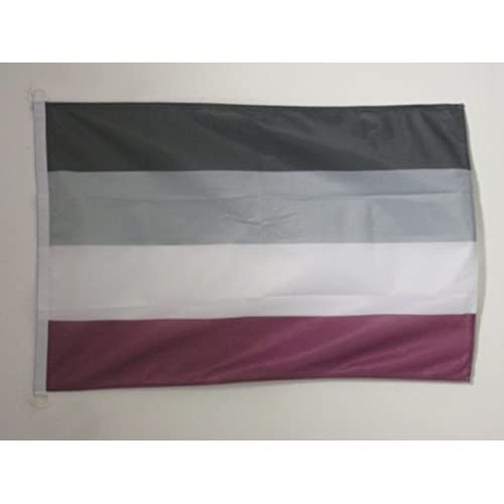 AZ FLAG - Asexual Rainbow Flag - 2x3 Ft - For Outdoor - asexual movement Banner Knitted Polyester with Two Plastic Rings - Fade Resistant - Vivid Colors - 2' x 3' Feet - 90x60 Cm