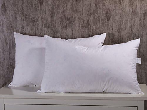 Amazon Com White Goose Down And Feather Bed Pillow Insert Willow