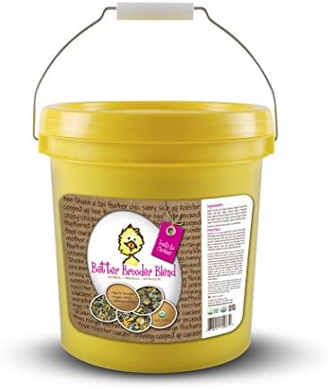 Treats for Chickens Organic Brooder Bedding Blend Pet Treat Bucket, 1 lb
