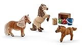 Schleich North America Miniature Shetland Pony Family Toy