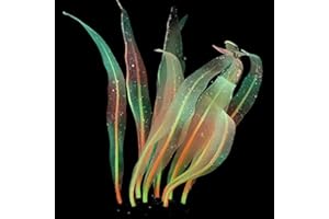 REIRQIE 18/25/43Cm Aquarium Decoration Plants Simulation Artificial Water Grass Fish Tank Decor Silicone Glowing Kelp Ornament Aquarium Accessories,Orange,16.9in